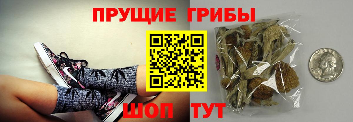 Псилоцибиновые грибы MAGIC MUSHROOMS Усть-Лабинск
